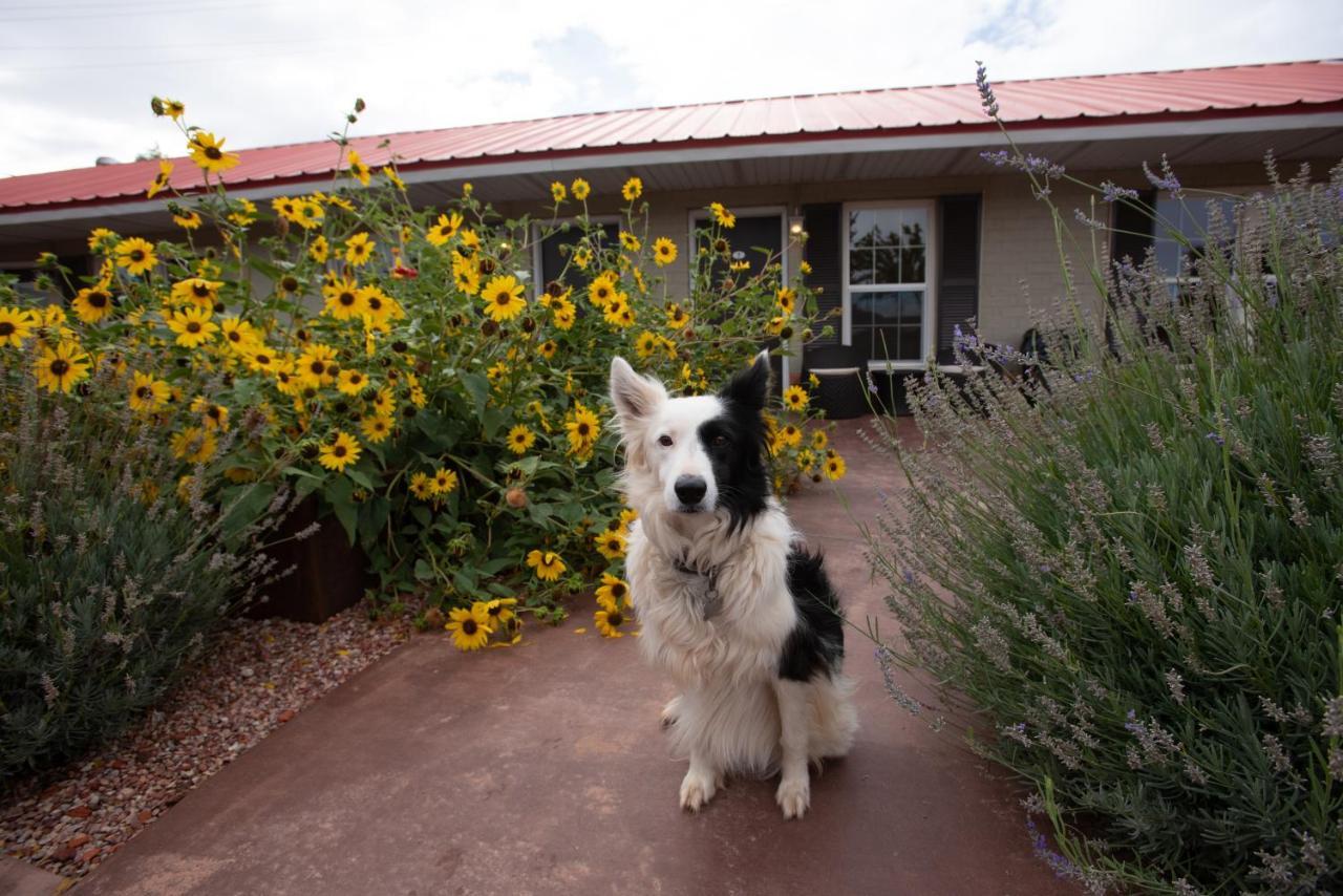 The Flagstone Boutique Inn & Suites Kanab Eksteriør billede